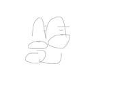 477166637