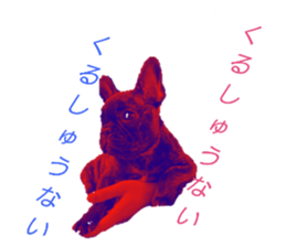 477173930