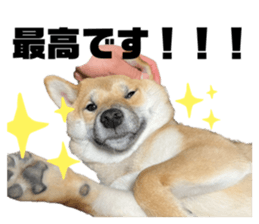 477242976