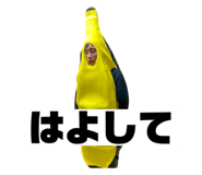 477244911