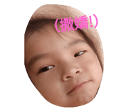 47727612