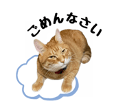477277125