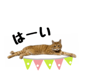 477277128