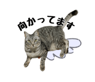 477277132