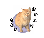 477277135