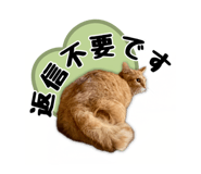 477277144