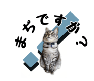 477277155