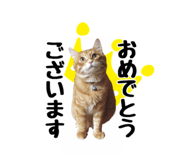 477277156