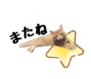 477277157
