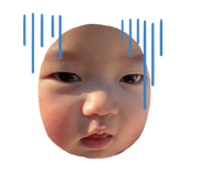 477337694