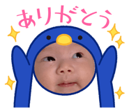 477337698
