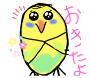 477345185