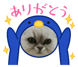 477348102