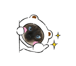 477354578