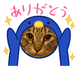 477358766