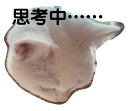 477441094