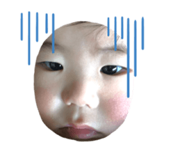 477479435