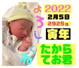 477520664