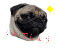 477526262