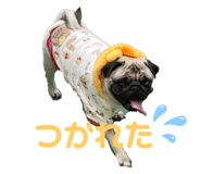 477526271