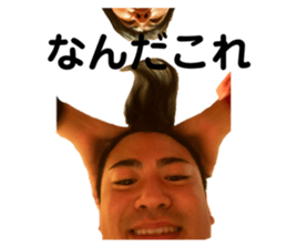477534440