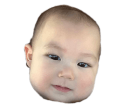 477557940
