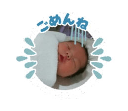 477562314