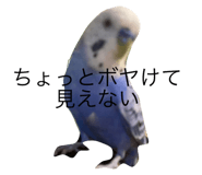 477563425