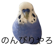 477563435