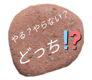 477605324