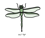 477745111