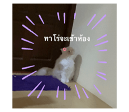 477769392