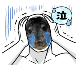 477782799