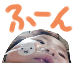 477803274
