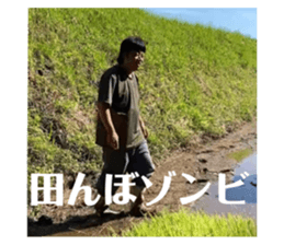 477803406