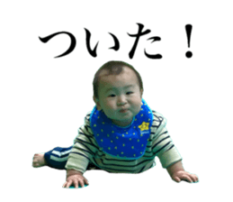 477819350