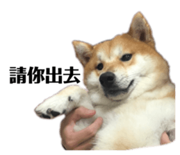 477825962
