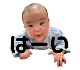477830957