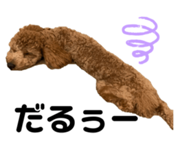 477837499