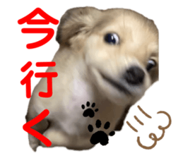 477837869