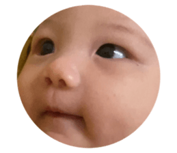 477843401