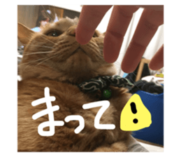 47786155