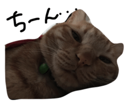47786165