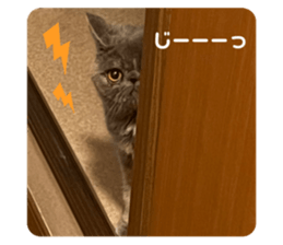 477865453