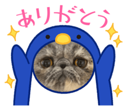 477865456