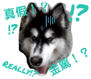 477888873