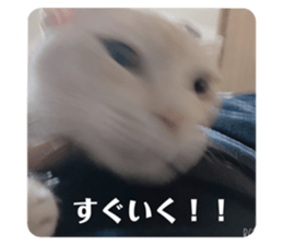 477946628