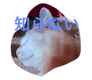 478075830