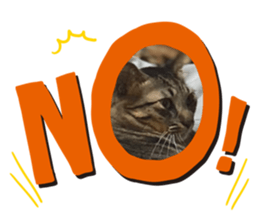 478079141