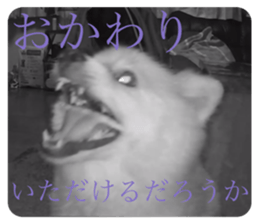 478115318